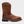 RANCHER CLASSIC 10