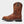 RANCHER CLASSIC 10